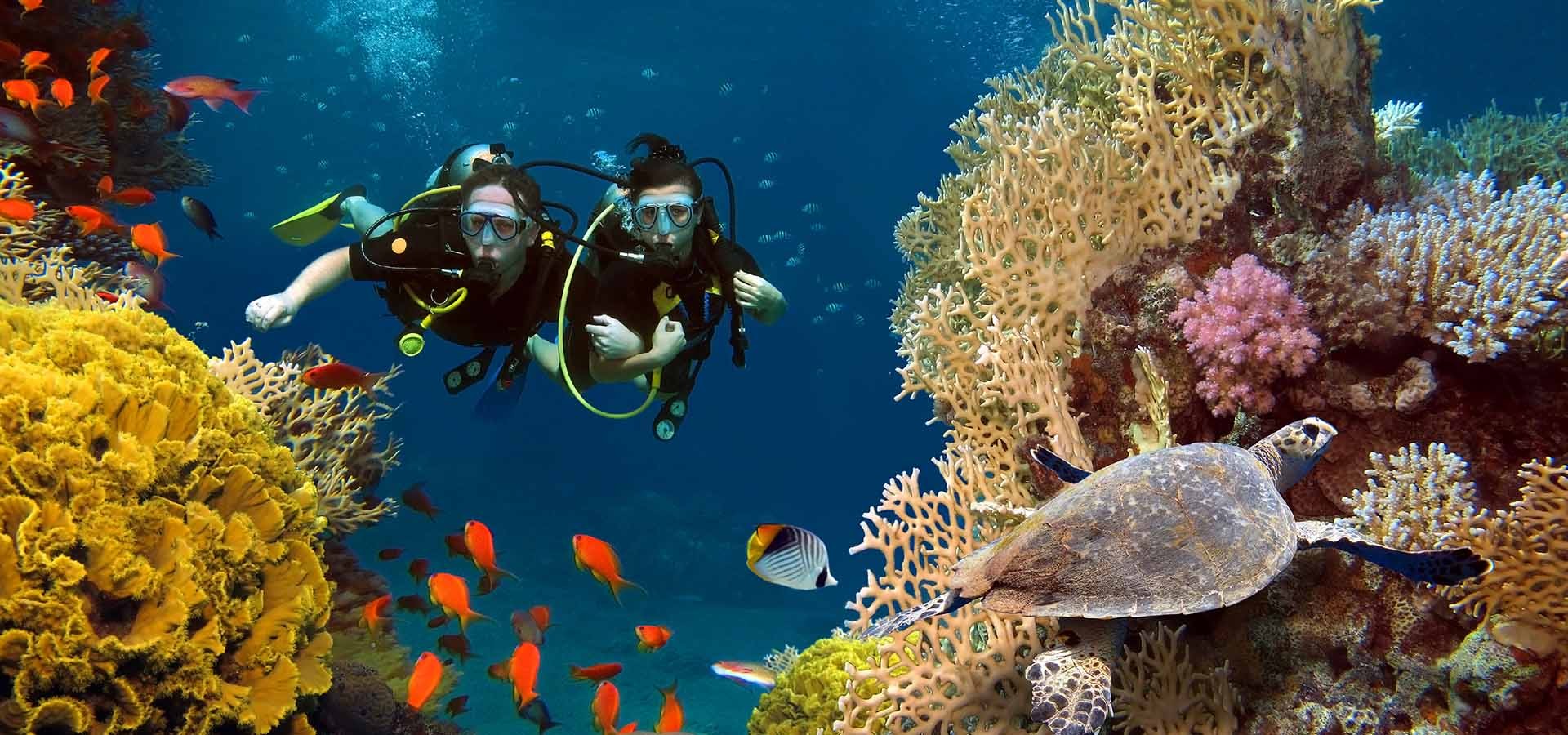 Surfing, Snorkeling & Coral Reefs